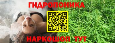 ешки Будённовск