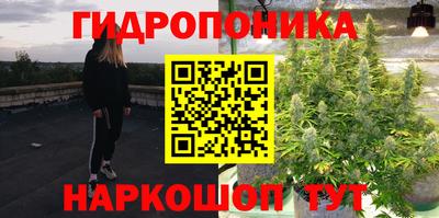 ешки Будённовск